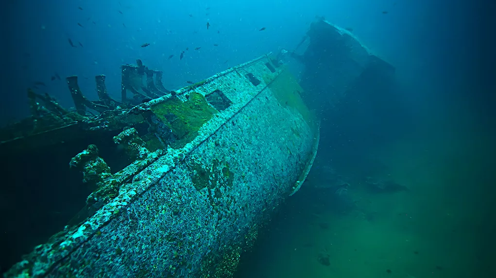 Image of a shipwreck discovered by Viridien earth observation satellite
