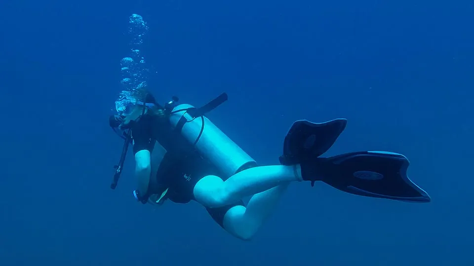 Image of Freya Viridien Seascop Scientist diving into the sea