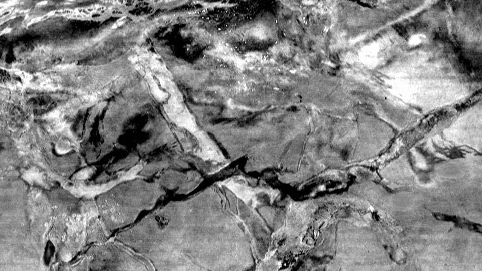 Joint multiple primary inversion of OBN data