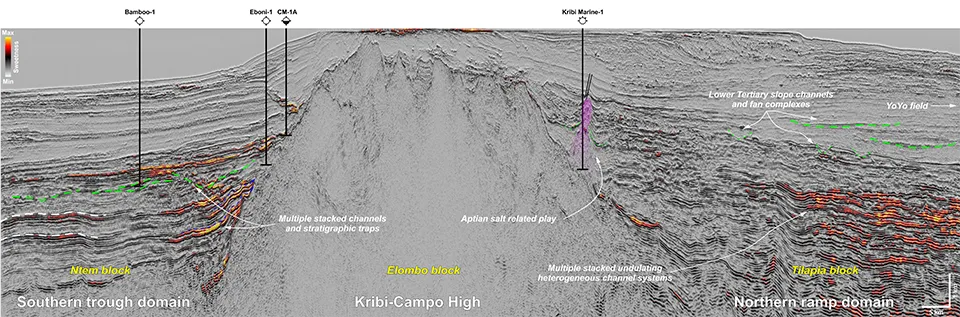 Viridien image of seismic line from DKC Basin, Elombo and Tilapia Blocks in Cameroon