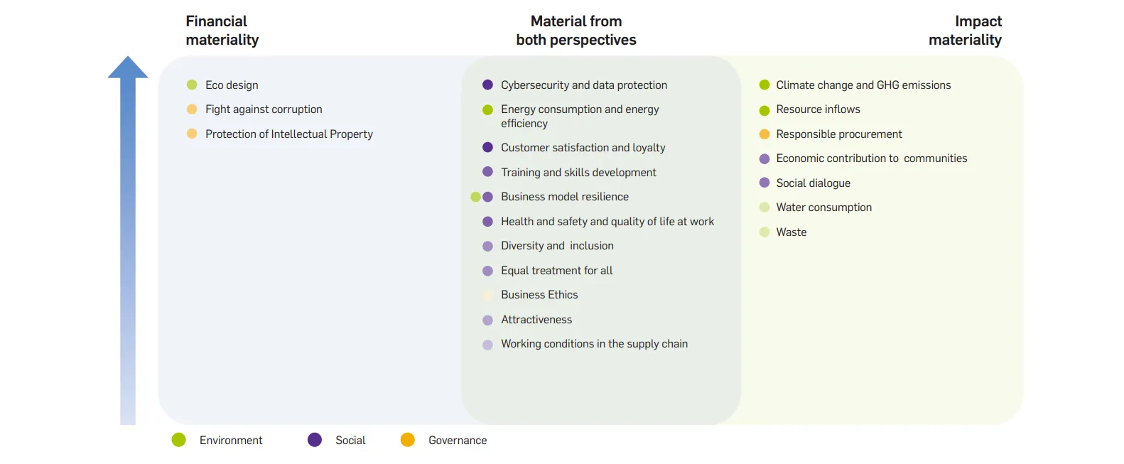 Materiality Analysis 2025